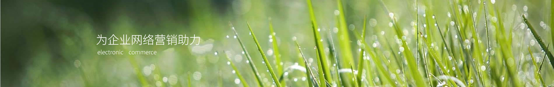 ݸѹ޹˾